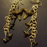 tiny sharks teeth