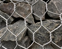Caged In