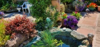 Patio Summer 2022