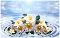 Floating Bouquet of White Flowers