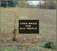 Corn Maze for Old People