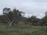 View on way to Canberra