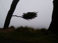 Point Reyes