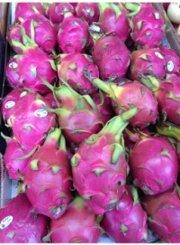 Pink Dragon Fruit