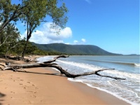 Beach in Tropical North Queensland, Australia