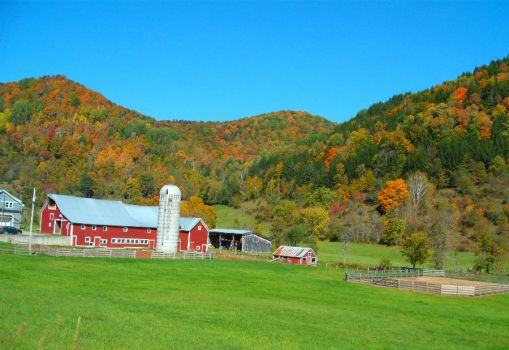 Farm on Rt 110, Vermont, Leafpeeper Ride, 09/27/14
