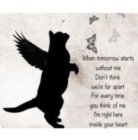 Remembering Goofie
