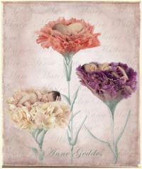 Sweet little carnations
