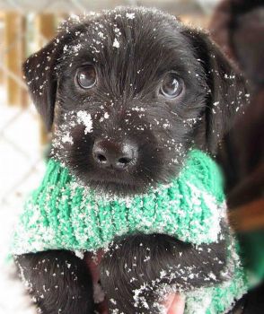 "My very first snowstorm"..