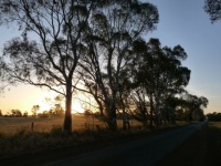 Australia early morning