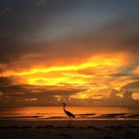 Pass-A-Grille Beach, Florida USA