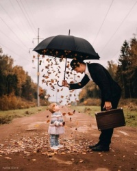 Falling Leaves