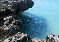 Coral & Water