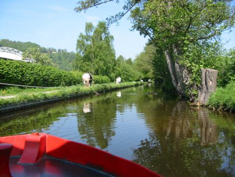 A cruise up the Llangollen Canal (854)