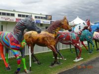 Races in Cairns