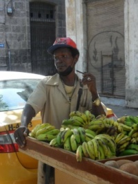 Prodavač banánů v Havaně...  Banana salesman in Havana ...