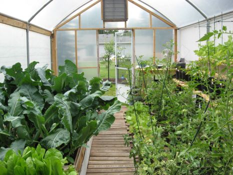 greenhouse 014