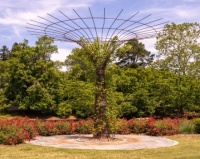 Norfolk Botanical Gardens