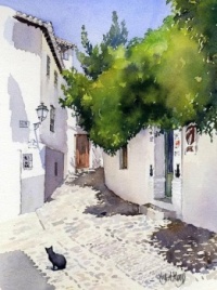 Cat’s Corner