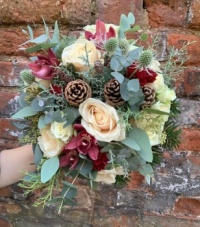 Flowers for today :-)
