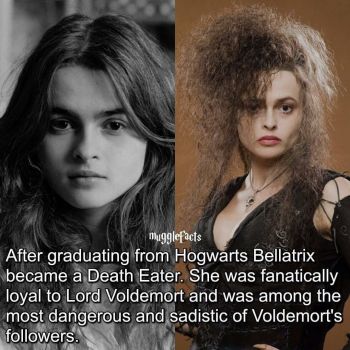 Solve The history about Bellatrix Lestrange the leading Death Eater ...