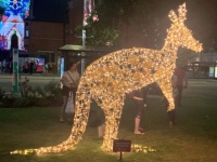 A kangaroo made of lights for Christmas