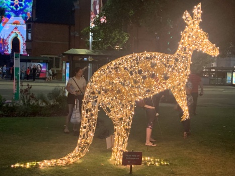 A kangaroo made of lights for Christmas