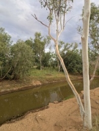 River