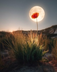 lonely