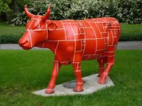 Červená kráva / Red cow