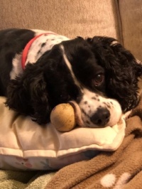 Somebody please play ball with me