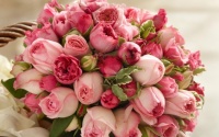 Roses