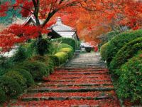 Garden Staircase in Kyoto, Japan