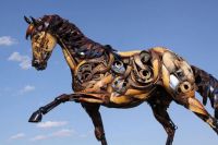 Horse 2