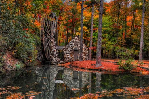 Autumn Splendor