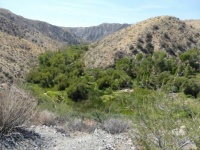 View of Big Morongo Canyon Preserve