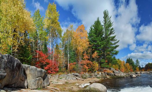 Autumn's Colors - New Brunswick, Canada