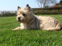 Gerly in the garden