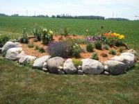 rock garden in summer