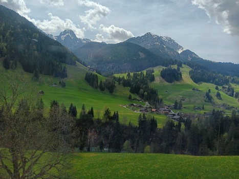 Solve Swiss Village in Spring jigsaw puzzle online with 48 pieces