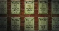 Akame Wanted