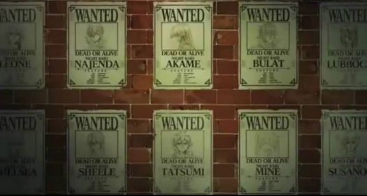 Akame Wanted