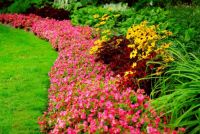 Amazing gardens (14)