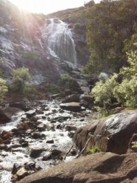 Morning at Lesmurdie Falls Western Australia