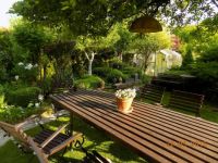 Sunday morning in our garden 2