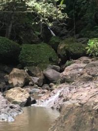 River in Costa Rica