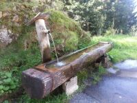 Water trough Switzerland (1)
