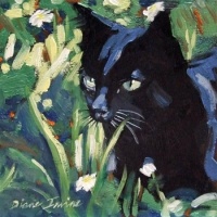Black Cat in Garden - Diane Irvine