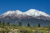MOUNT SHASTA