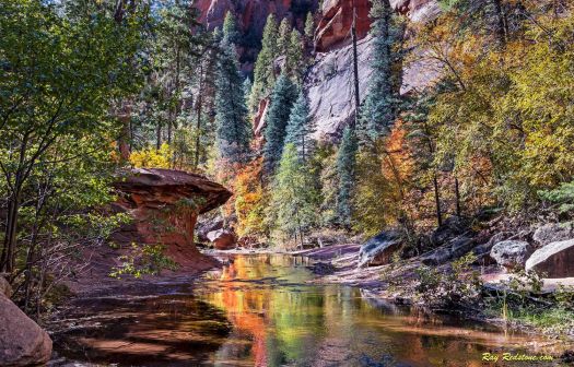 Oak Creek In Sedona, AZ